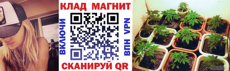 Все наркотики Качканар ГАШ  A PVP  МЕФ  МЕГА tor  COCAIN 