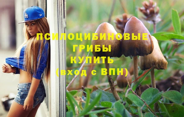 мескалин Белокуриха