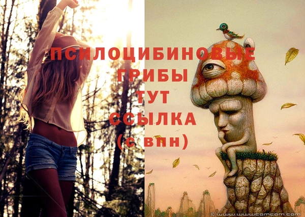 МДМА Арсеньев