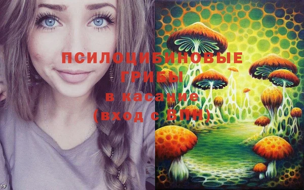 эйфоретик Богородск
